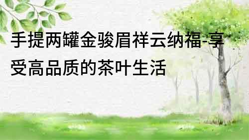 手提兩罐金駿眉祥云納福-享受高品質的茶葉生活