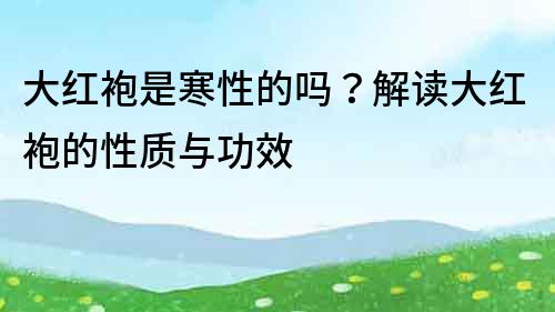 大紅袍是寒性的嗎？解讀大紅袍的性質與功效