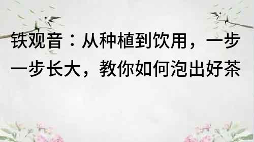 鐵觀音：從種植到飲用，一步一步長大，教你如何泡出好茶