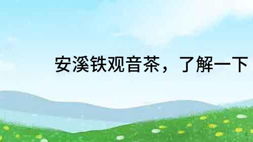 安溪鐵觀音茶，了解一下