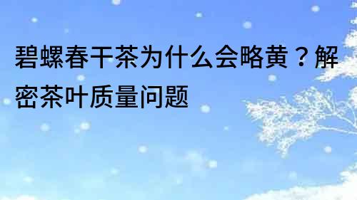 碧螺春干茶為什么會略黃？解密茶葉質量問題