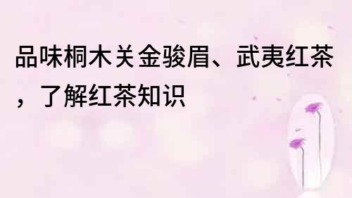 品味桐木關金駿眉、武夷紅茶，了解紅茶知識