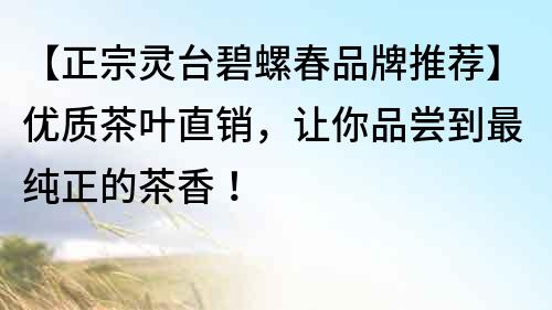 【正宗靈臺碧螺春品牌推薦】優質茶葉直銷，讓你品嘗到最純正的茶香！