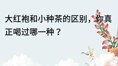 大紅袍和小種茶的區別，你真正喝過哪一種？
