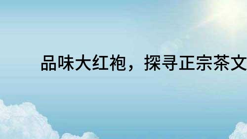 品味大紅袍，探尋正宗茶文化