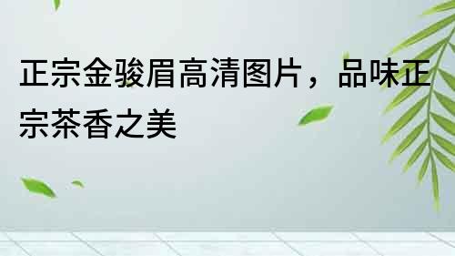 正宗金駿眉高清圖片，品味正宗茶香之美