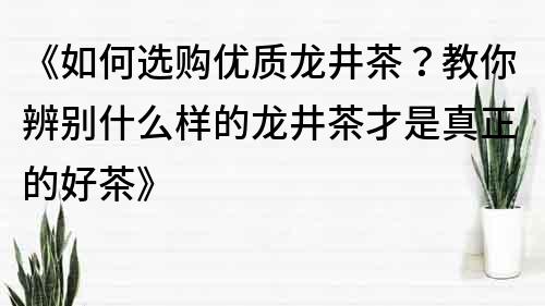 《如何選購優質龍井茶？教你辨別什么樣的龍井茶才是真正的好茶》