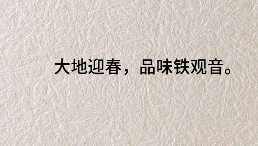 大地迎春，品味鐵觀音。