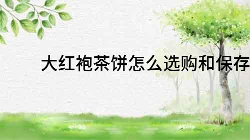 大紅袍茶餅怎么選購和保存？