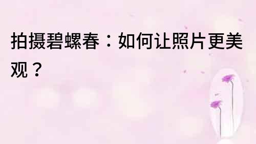 拍攝碧螺春：如何讓照片更美觀？