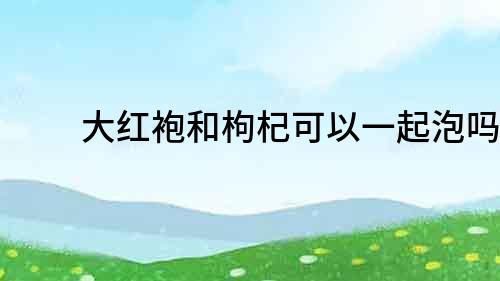 大紅袍和枸杞可以一起泡嗎？