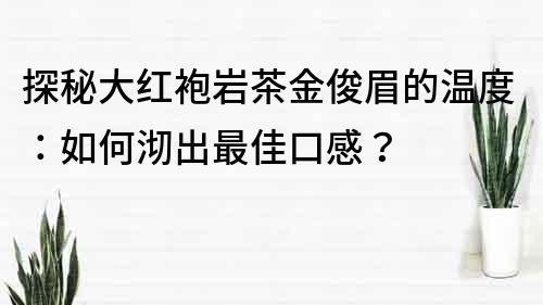 探秘大紅袍巖茶金俊眉的溫度：如何沏出最佳口感？