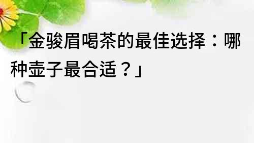 「金駿眉喝茶的最佳選擇：哪種壺子最合適？」