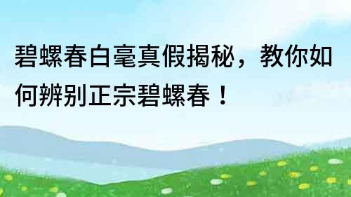 碧螺春白毫真假揭秘，教你如何辨別正宗碧螺春！