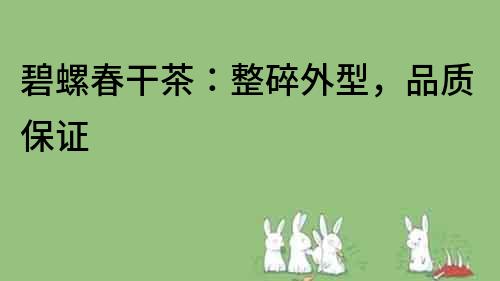 碧螺春干茶：整碎外型，品質(zhì)保證