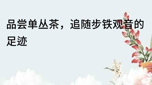 品嘗單叢茶，追隨步鐵觀音的足跡