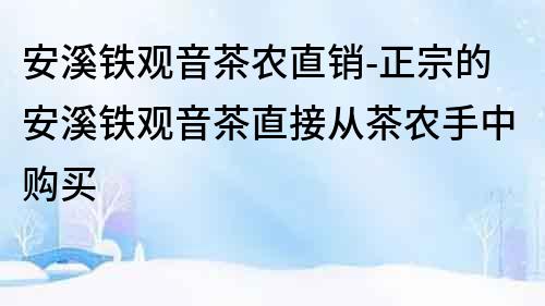 安溪鐵觀音茶農直銷-正宗的安溪鐵觀音茶直接從茶農手中購買