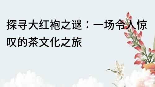 探尋大紅袍之謎：一場(chǎng)令人驚嘆的茶文化之旅