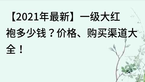 【2022年最新】一級大紅袍多少錢？價格、購買渠道大全！