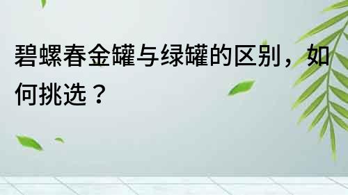 碧螺春金罐與綠罐的區別，如何挑選？
