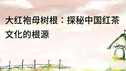 大紅袍母樹根：探秘中國紅茶文化的根源