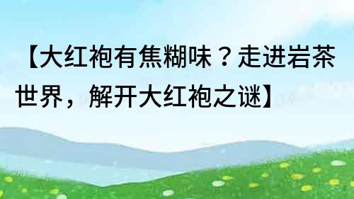 【大紅袍有焦糊味？走進巖茶世界，解開大紅袍之謎】