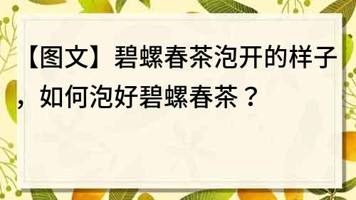 【圖文】碧螺春茶泡開的樣子，如何泡好碧螺春茶？
