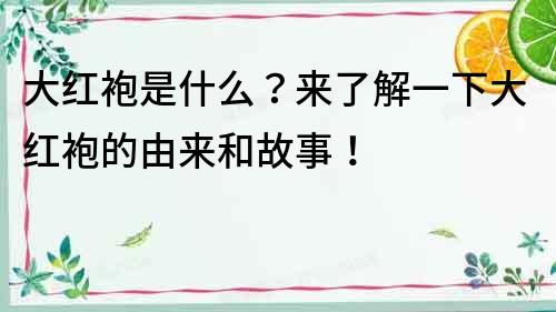 大紅袍是什么？來了解一下大紅袍的由來和故事！