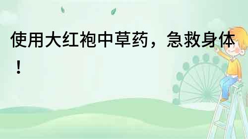 使用大紅袍中草藥，急救身體！