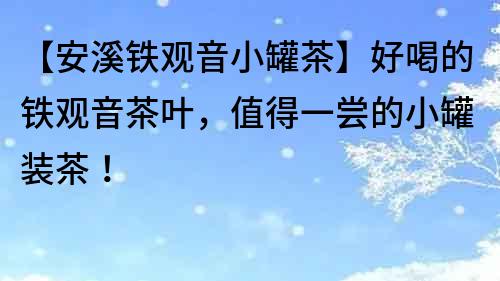 【安溪鐵觀音小罐茶】好喝的鐵觀音茶葉，值得一嘗的小罐裝茶！