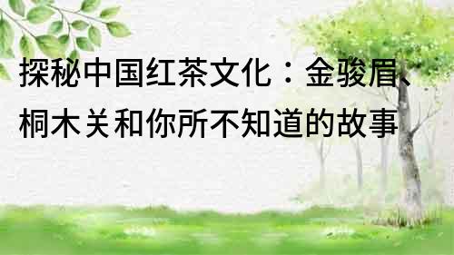 探秘中國紅茶文化：金駿眉、桐木關和你所不知道的故事