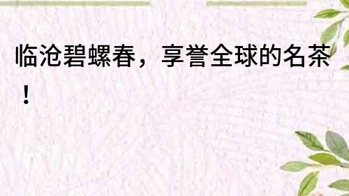 臨滄碧螺春,享譽全球的名茶!
