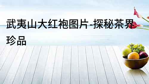 武夷山大紅袍圖片-探秘茶界珍品