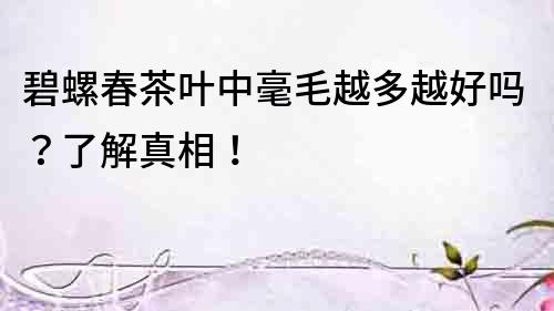 碧螺春茶葉中毫毛越多越好嗎？了解真相！