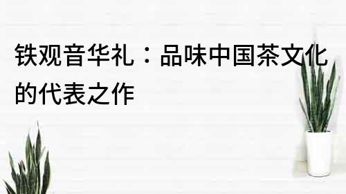 鐵觀音華禮：品味中國(guó)茶文化的代表之作