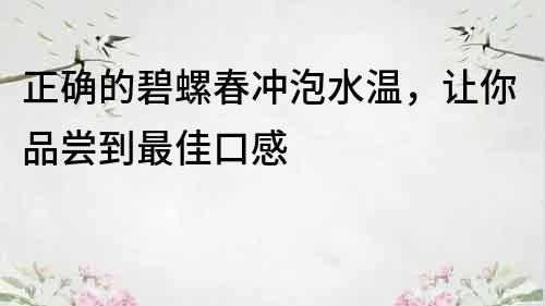 正確的碧螺春沖泡水溫，讓你品嘗到最佳口感