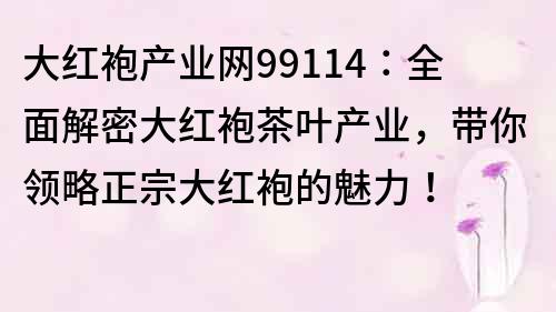 大紅袍產(chǎn)業(yè)網(wǎng)99114：全面解密大紅袍茶葉產(chǎn)業(yè)，帶你領(lǐng)略正宗大紅袍的魅力！