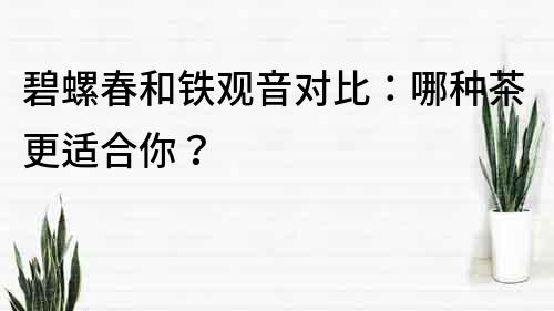 碧螺春和鐵觀音對比：哪種茶更適合你？