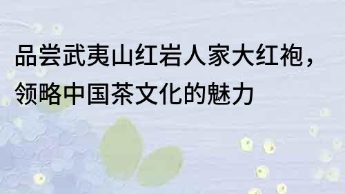 品嘗武夷山紅巖人家大紅袍，領略中國茶文化的魅力