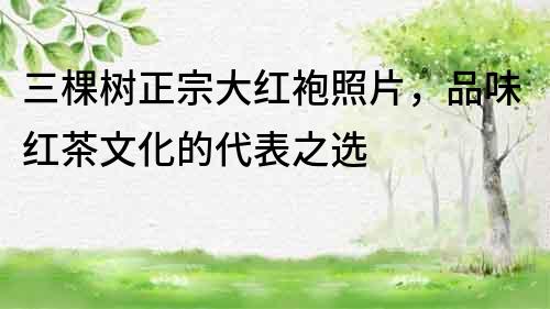 三棵樹正宗大紅袍照片，品味紅茶文化的代表之選