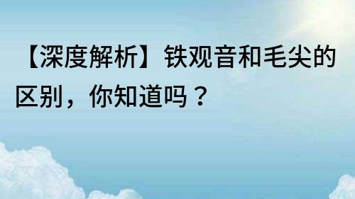 【深度解析】鐵觀音和毛尖的區(qū)別，你知道嗎？