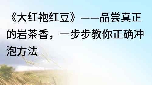 《大紅袍紅豆》——品嘗真正的巖茶香，一步步教你正確沖泡方法
