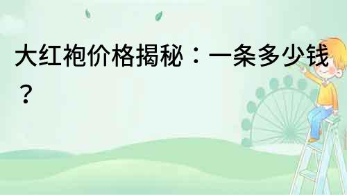 大紅袍價格揭秘：一條多少錢？
