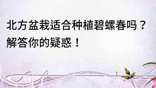北方盆栽適合種植碧螺春嗎？解答你的疑惑！