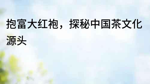 抱富大紅袍，探秘中國茶文化源頭