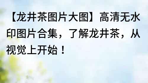 【龍井茶圖片大圖】高清無水印圖片合集，了解龍井茶，從視覺上開始！
