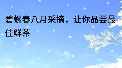 碧螺春八月采摘，讓你品嘗最佳鮮茶