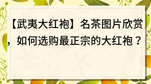 【武夷大紅袍】名茶圖片欣賞，如何選購最正宗的大紅袍？