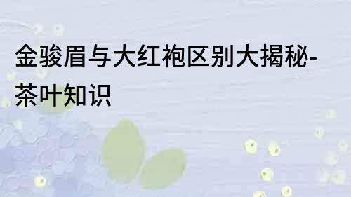 金駿眉與大紅袍區別大揭秘-茶葉知識
