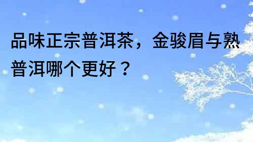 品味正宗普洱茶，金駿眉與熟普洱哪個更好？